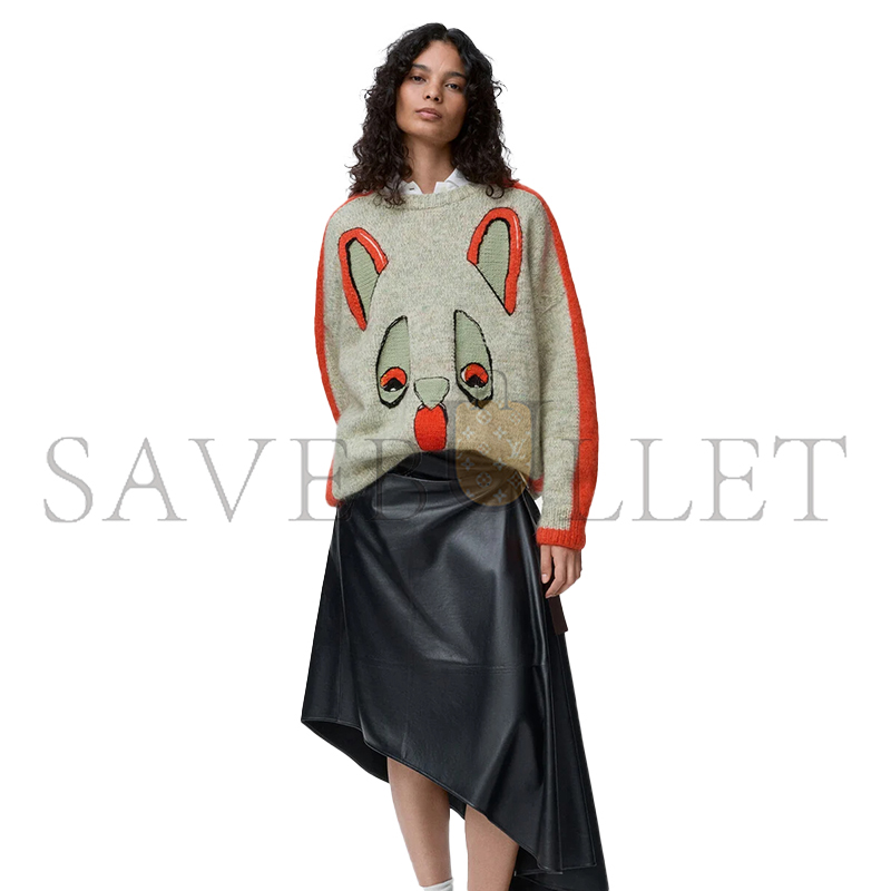 LOEWE X LOUIS WAIN SWEATER IN WOOL H526Y14KNP