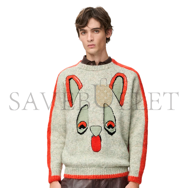 LOEWE X LOUIS WAIN SWEATER IN WOOL H526Y14KNP