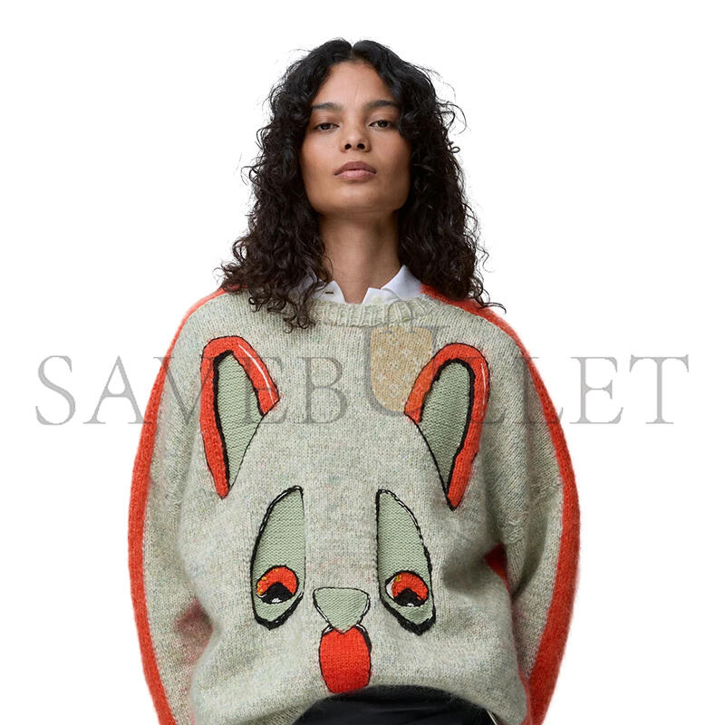 LOEWE X LOUIS WAIN SWEATER IN WOOL H526Y14KNP